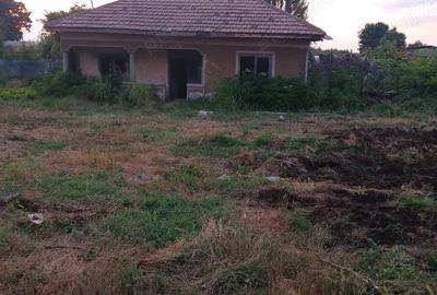 Casă cu Teren 1465 Mp în Dulceanca