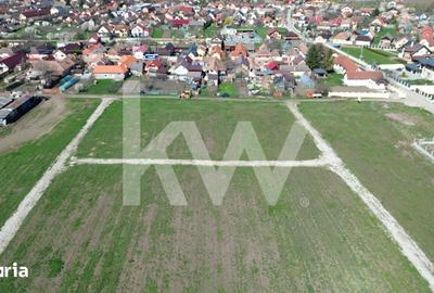 Teren de 447 mp, în Hălchiu - 16