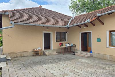 Casă cu 5 camere cu Teren 1310 Mp în Barițiu