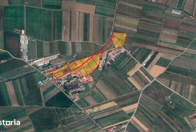 Teren de 100000 mp, în Central - 2