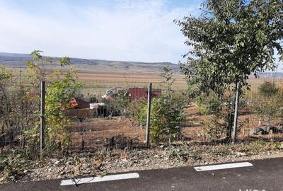 Teren de 520 mp, în Muntenii de Jos - 2