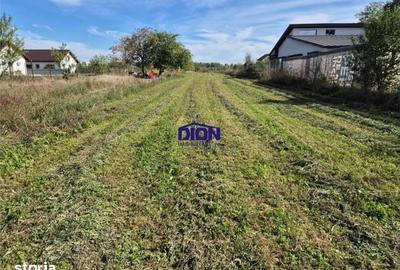 Teren de 2880 mp, în Ciolpani