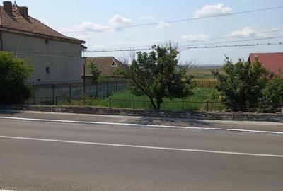 Teren de 1300 mp, în Ceamurlia de Jos - 1