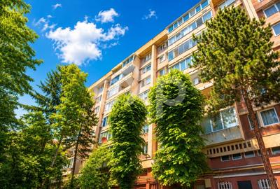 Apartament cu 2 camere semidecomandat, mobilat în Centrul Civic - 2