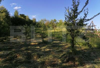 Teren de 14400 mp, în Gemenea-Brătulești - 3