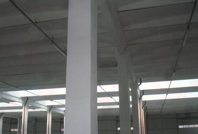 Spațiu industrial, de 4,000 mp, în Ștefănești - 4