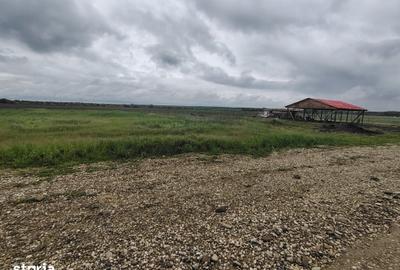 Teren de 860 mp, în Crevedia