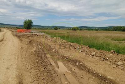 Teren agricol extravilan de 1800 mp, în Avrig - 5