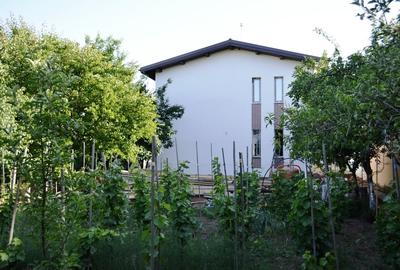 Casă cu 4 camere cu Teren 899 Mp în Militari - 2