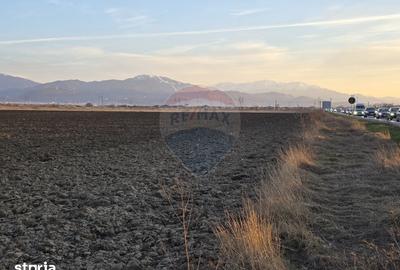 Teren de 30000 mp, în Hălchiu - 3