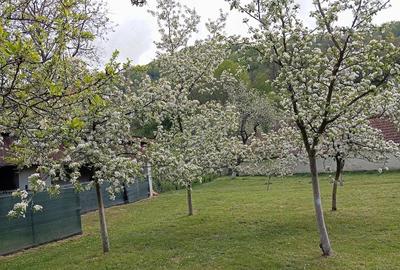 Teren de 3 mp, în Sichevița - 1