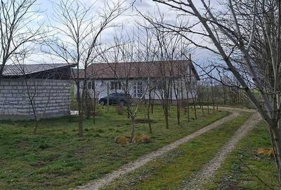 Spațiu comercial, în Peștera - 11