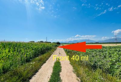 Teren agricol intravilan de 16080 mp, în Sânpetru - 2