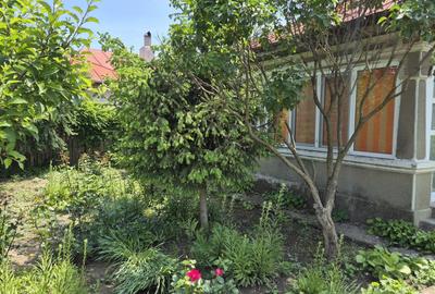 Casă cu 4 camere în Platonești - 2