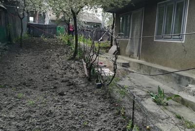 Casă cu 4 camere cu Teren 350 Mp în Murgeni - 2