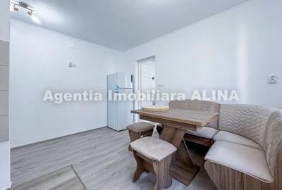 Garsonieră semidecomandată în Dacia - 11