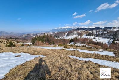 Teren Construcții extravilan de 150000 mp, în Șirnea - 14