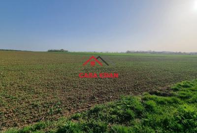 Teren agricol extravilan de 5000 mp, în Urleta - 1