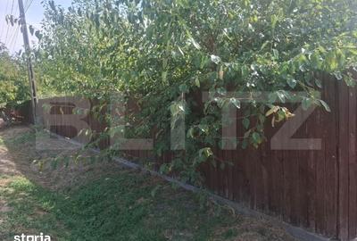 Casă cu 3 camere cu Teren 2800 Mp în Mireșu Mare