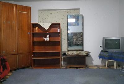 Casă cu Teren 400 Mp în Ion Creangă