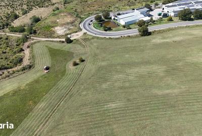 Teren de 800 mp, în Broscărie