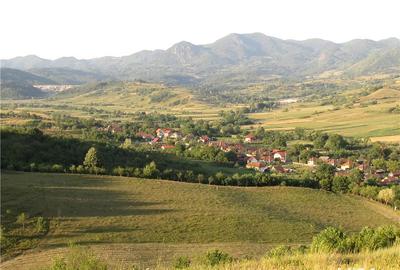 Teren de 18000 mp, în Bârsău - 3