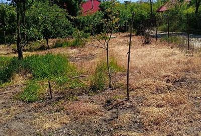 Casă cu Teren 1100 Mp în Ștorobăneasa