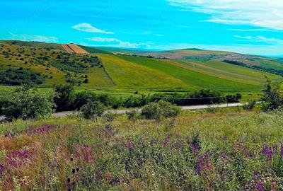 Teren de 2900 mp, în Central
