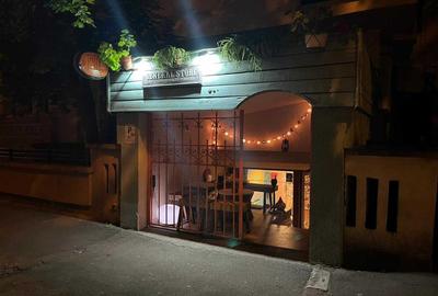 Spațiu comercial, de 43 mp, în Ultracentral - 2