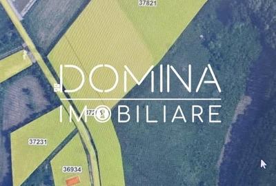 Teren Construcții intravilan de 20386 mp, în Câlnicu de Sus - 8