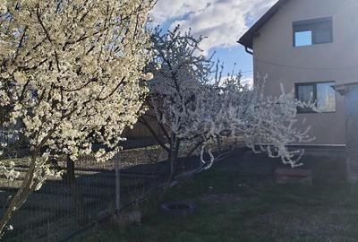 Casă cu 4 camere cu Teren 1600 Mp în Valea Stânii - 4