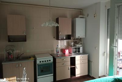 Apartament cu 2 camere decomandat în Aradului - 7