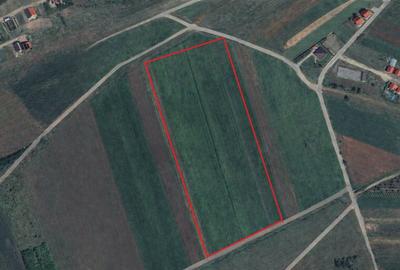 Teren Construcții intravilan de 6450 mp, în Ampoi 3 - 1