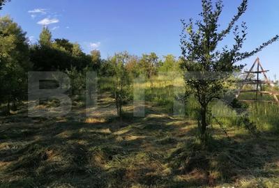 Teren de 14400 mp, în Gemenea-Brătulești - 2