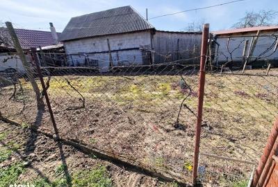 Casă cu 3 camere cu Teren 2230 Mp în Săbolciu - 3