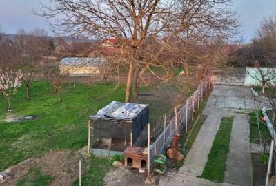 Teren Construcții intravilan de 6000 mp, în Dascălu - 2