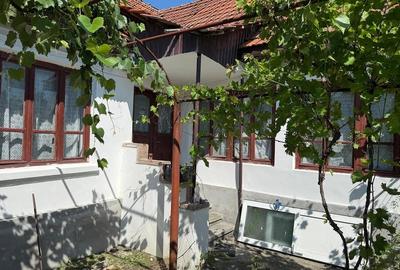 Casă cu 4 camere cu Teren 1900 Mp în Telești - 4
