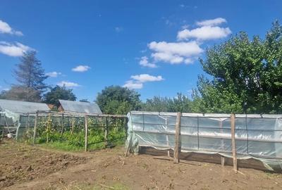 Casă cu 3 camere cu Teren 2100 Mp în Livedea - 2