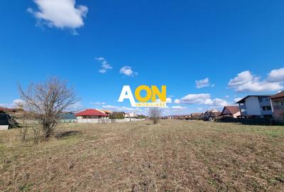 Teren Construcții intravilan de 2600 mp, în Cetate - 3