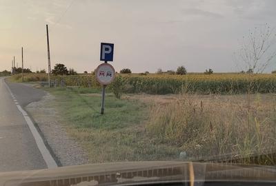 Teren de 5000 mp, în Osica de Sus - 3