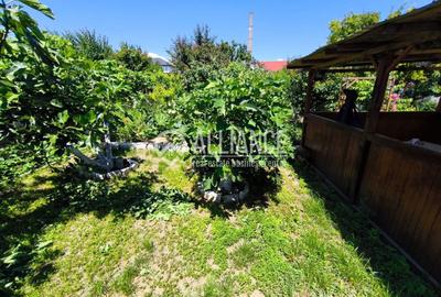 Casă individuală cu 4 camere cu Canalizare în Viile Noi - 21