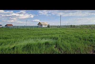 Teren de 600 mp, în Colacu - 2