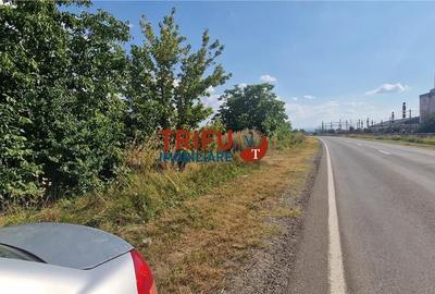 Teren de 5900 mp, în Bărăbanț