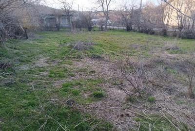 Teren de 811 mp, în Căscioarele - 5