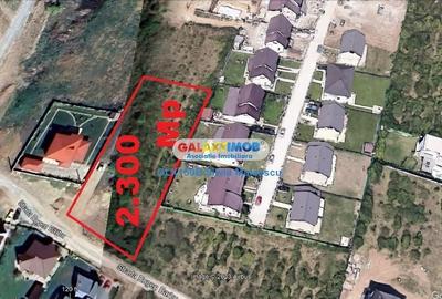 Teren Construcții intravilan de 2300 mp, în Mogoșoaia - 5