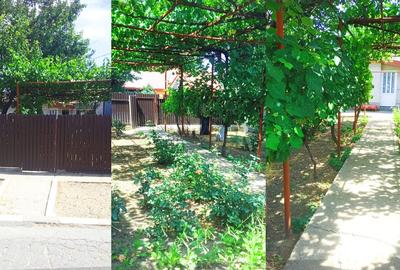 Casă cu 6 camere cu Teren 1340 Mp în Central - 13