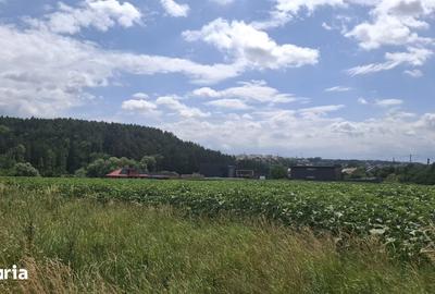 Teren de 5000 mp, în Șcheia