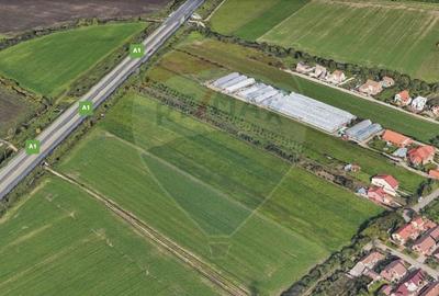 Teren agricol extravilan de 5316 mp, în Aradul Nou - 4