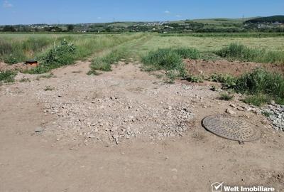 Teren agricol extravilan de 10000 mp, în Jucu de Mijloc - 12
