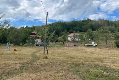 Teren de 5200 mp, în Tranișu - 3